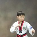 선우태권도 이미지