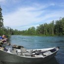 연어의추억 이미지