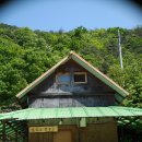 숲이조아캠핑장 이미지