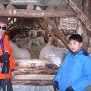 은희목장 이미지