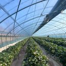 봄이네 농장 이미지