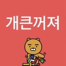 세정유치원 | 강아지유치원 주말 알바 후기