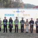 반려동물놀이터 이미지