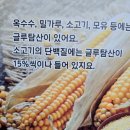 창조수학