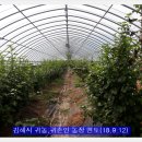 다소농장 이미지