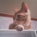 안민고개길 이미지