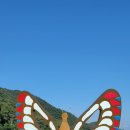 유주막로 이미지