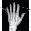 심지한의원 이미지