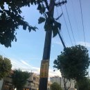 갑자약국 이미지