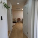 스테이여린 이미지