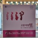 율전중앙약국 이미지