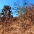 박세영선생묘 및 신도비 이미지