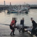 서천소방서-29 이미지