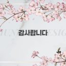 디자인봄 이미지