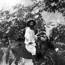 덕원농장2 이미지