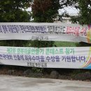 온평리-11 Daum카페