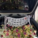 꽃보다 타이어 세종 조치원점 | 세종, 공주, 조치원 트렁크 프로포즈 ! 장점에는 어떤것이 있을까요?