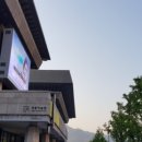 광화문집 이미지