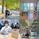 산약초에 대한 이해 | 전북 진안 숙소 마이산 에코타운 펜션 1박2일 가족여행 코스
