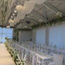 더포레스트 | W1.[용인 웨딩홀 투어] 더포레스트 후기(견적 공유), 10m 층고와 커튼의 반전! (식사/주차/동선)