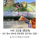 고산골 공룡공원 벽 | 예술터 2024 예술로 어울림 &#39;우리 동네 얀바밍 프로젝트&#39; 성과전시 (in 대구 고산골 공룡공원) 관람 후기