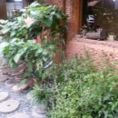 중성동031 이미지