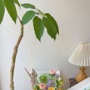 마음담은박스 이미지