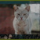 가조수협효시공원 이미지