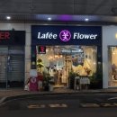 라페플라워(Lafee Flower)