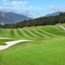 그린프라자 앞 이미지