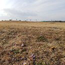 금호목장 이미지