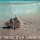 ♬바라볼수없는그대/양수경(원곡)♬ 이미지