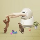 맘스동물의료센터 이미지