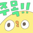 팡이메디칼