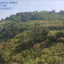 거문초동도분교장 이미지