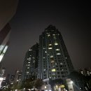 어상 | [ 서울 / 횟집추천 ] 여의도 숙성회 맛집 어상향 솔직후기(대방어, 광어, 도미,참치)