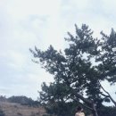 호박관광나이트(호텔나이트) | 겨울 온수풀 가능한 히든클리프 제주 인피니티풀 수영장 및 풀문 나이트 DJ 공연 후기