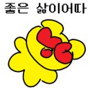 네일 팔레트(Nail palette)