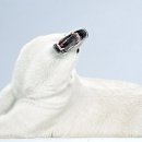 사진스튜디오라이팅(기초) 이미지