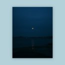 도도 Grooming 이미지