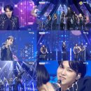 별빛아래 이미지