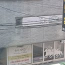 도시히피즈 이미지