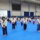 용인대 엘리트 태권도장 이미지