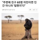 시온태권도 | 쫑파티