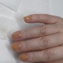 크레이지광택 | 집에서 즐기는 힐링 타임, 셀프 젤네일 추천 조합(젤로젤로·알리산·크레이지탑)