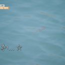 섬스테이 이미지