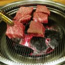 대영동물병원 이미지