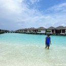 파라다이스 이미지