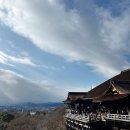 니코니코 | 오사카 교토 버스투어 추천 니코니코투어 후기 아라시야마 청수사 금각사