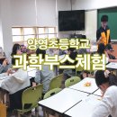 양영초등학교 이미지